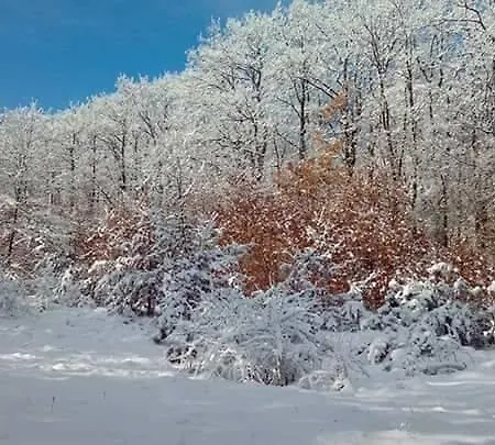 Kike Mijakovo Polje
